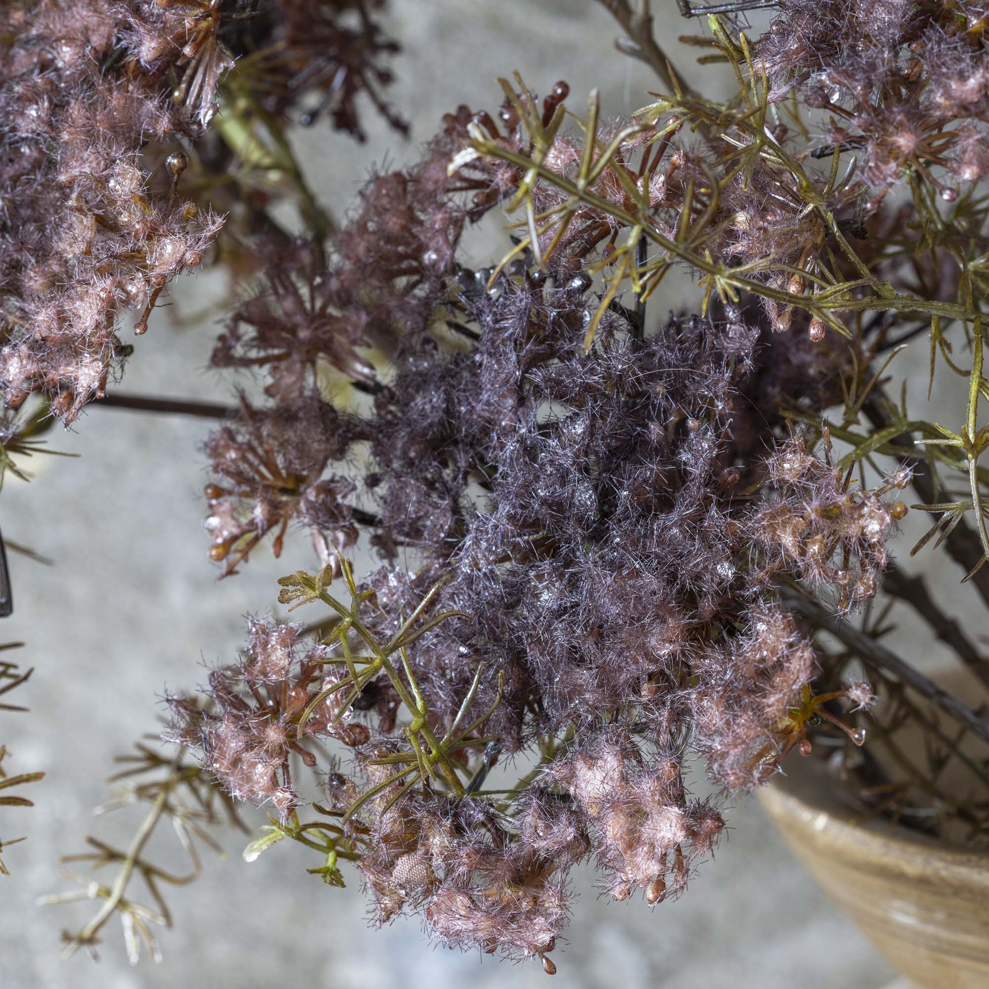 31" Purple Queen Anne's Lace Stem - Image 3