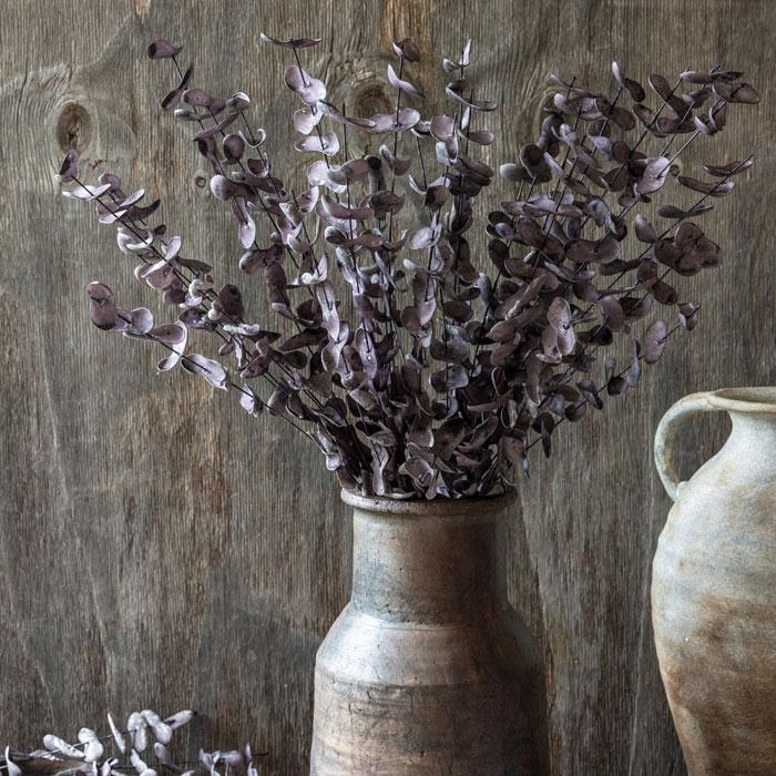36" Eucalyptus Plum Stem - Image 3
