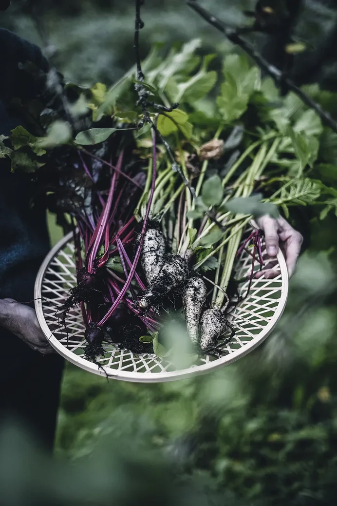 From Oven To Table - the Art of Sheet Pan Recipes - Image 4
