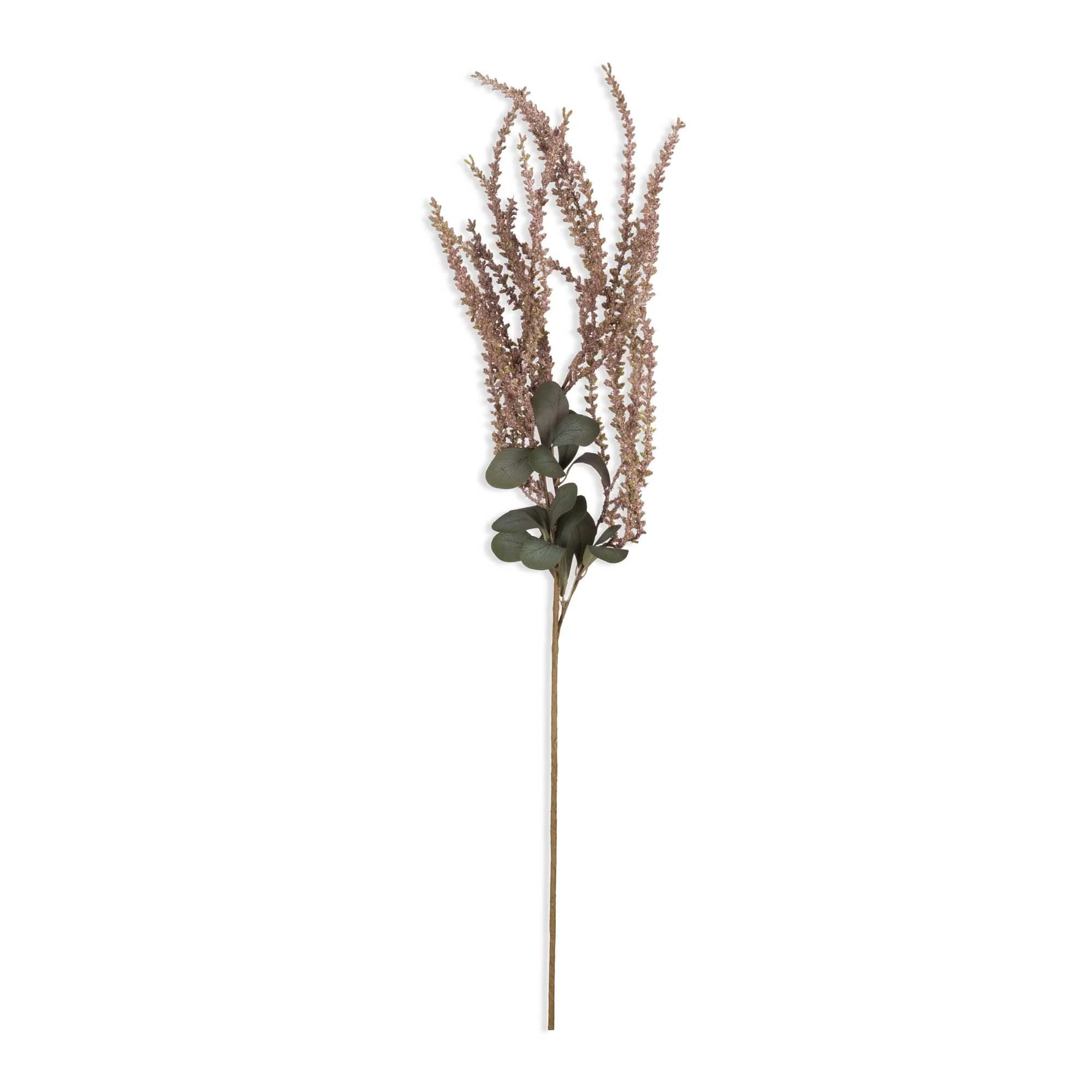 40" Amaranthus Blush Stem - Image 3