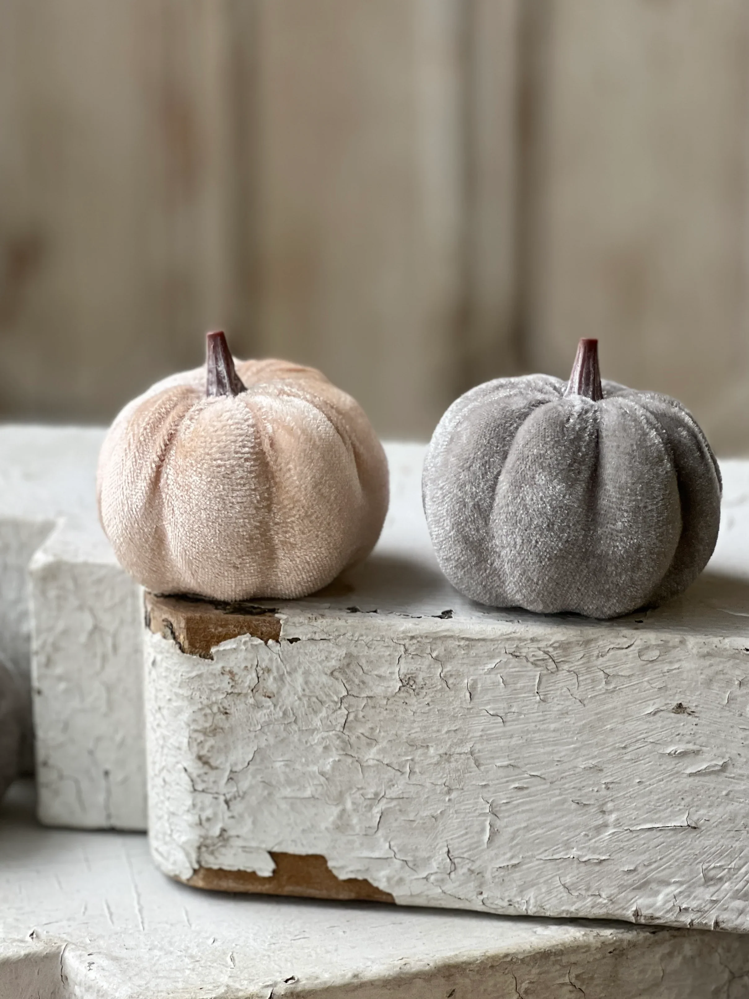 Set of 7 Velveteen Pumpkins - Image 3