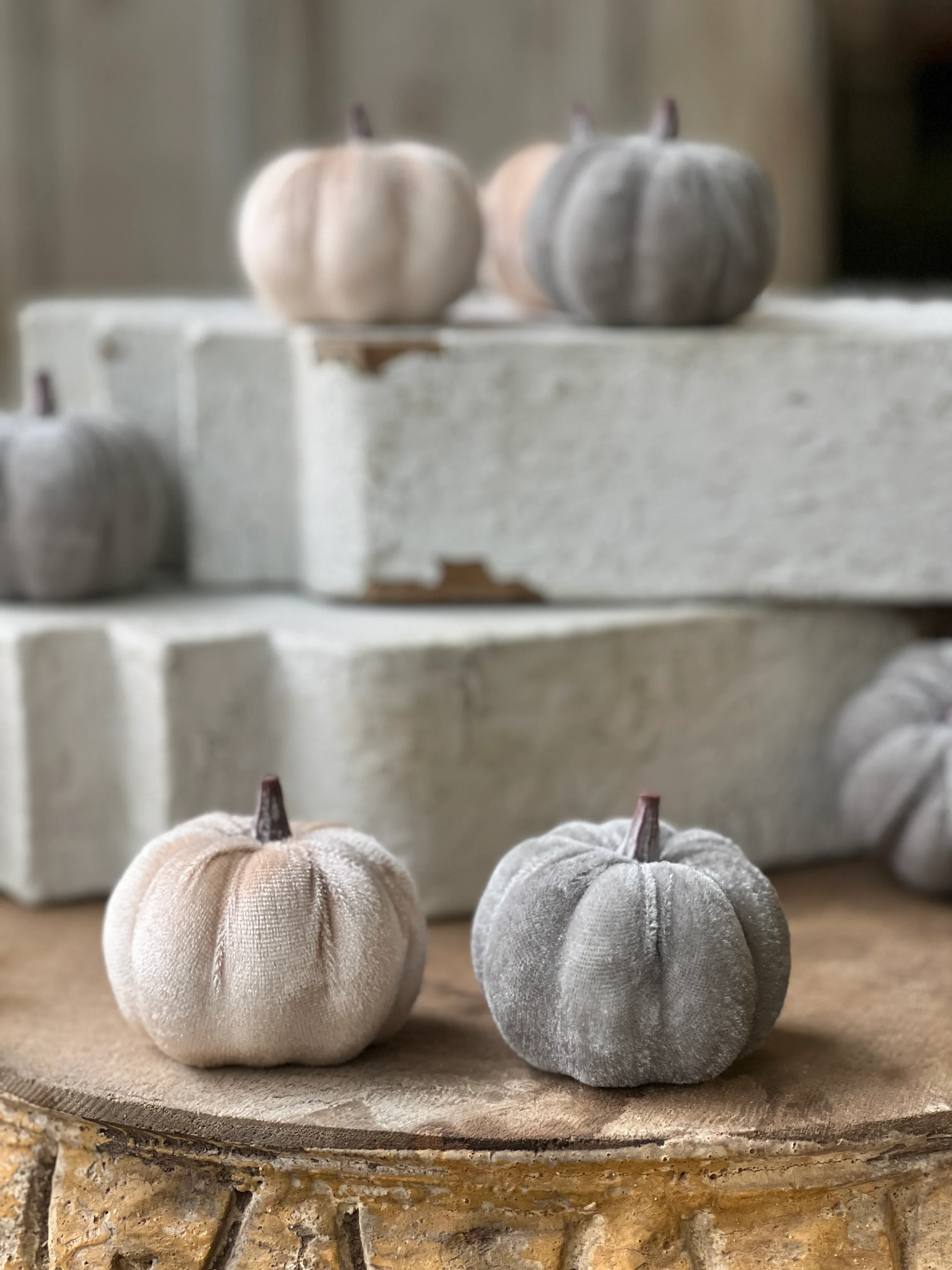 Set of 7 Velveteen Pumpkins - Image 4