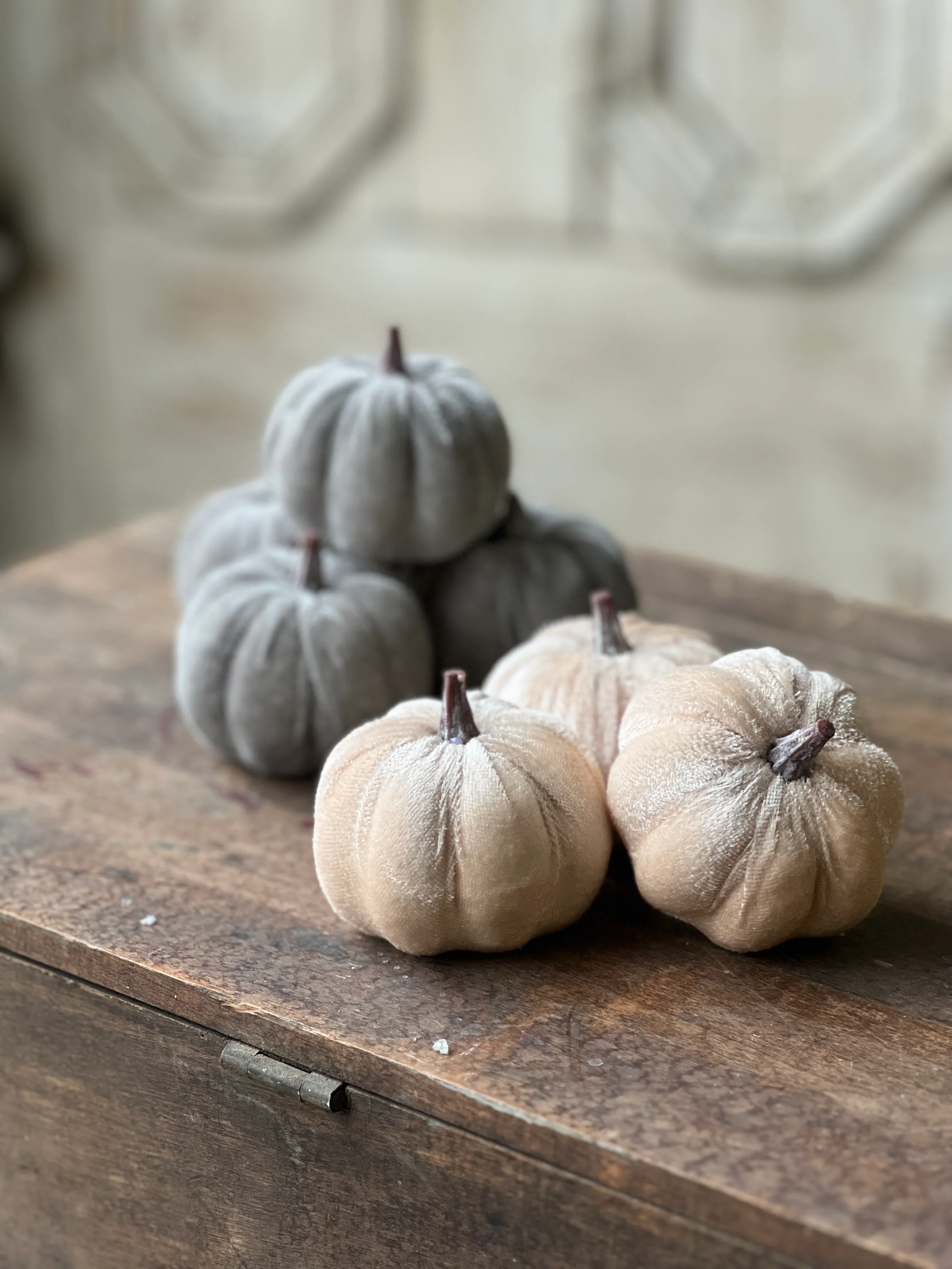 Set of 7 Velveteen Pumpkins - Image 5